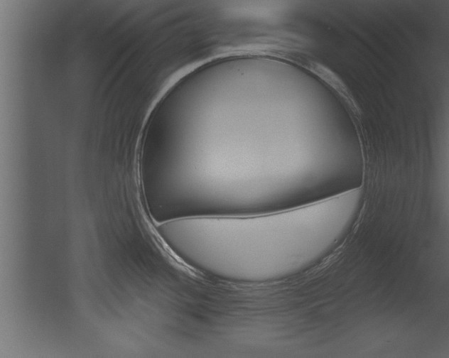 X0000053001436200507080943
