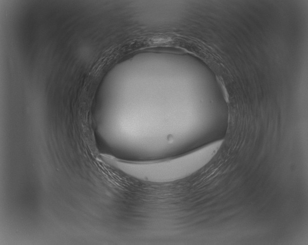 X0000053001441200507080943