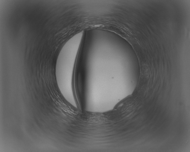 X0000053001442200507080943