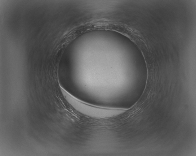 X0000053001445200507080943