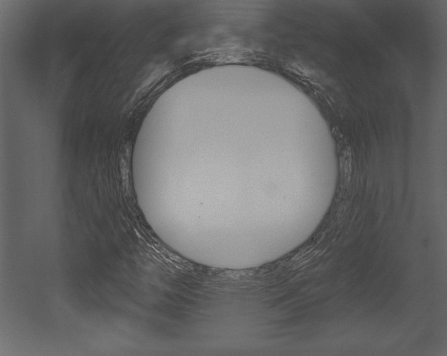 X0000053001446200507080943