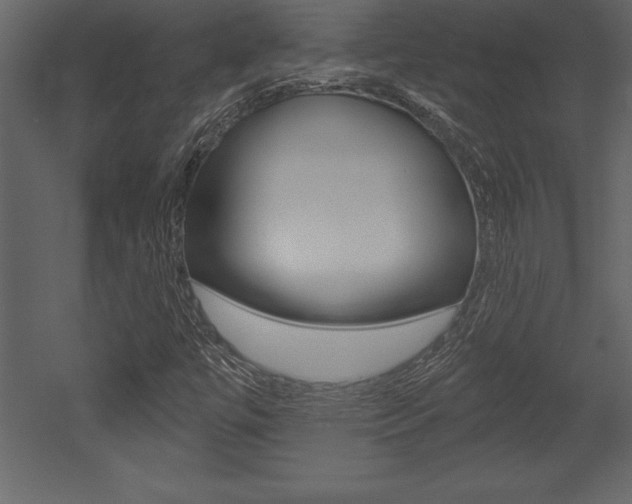 X0000053001447200507080943