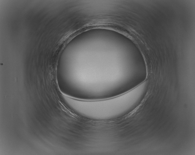 X0000053001449200507080943