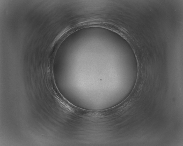 X0000053001450200507080943