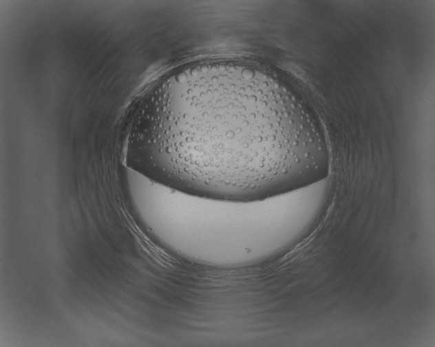 X0000053001451200507080943