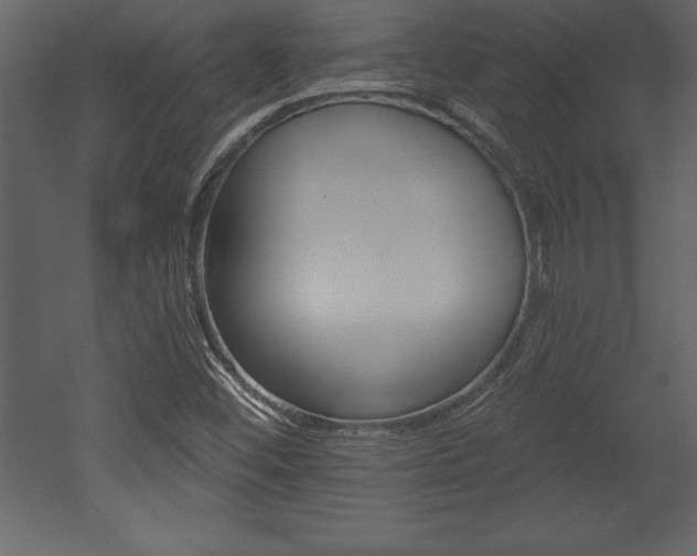 X0000053001452200507080943