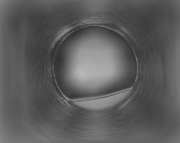 X0000053001453200507080943