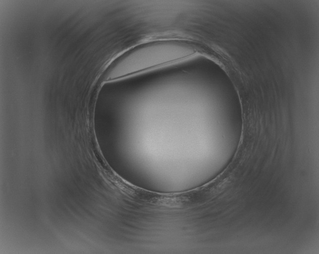 X0000053001457200507080942