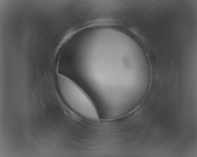 X0000053001459200507080942