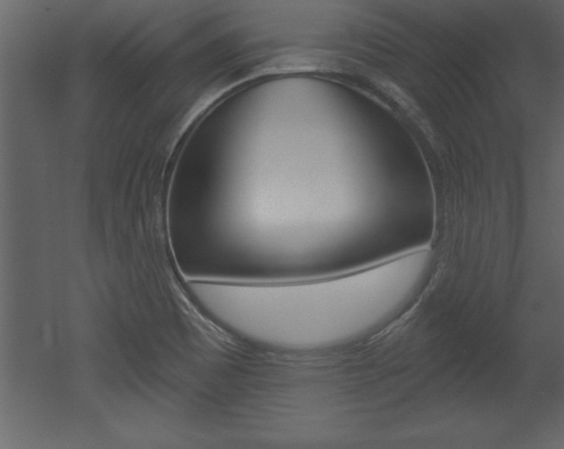X0000053001465200507080942