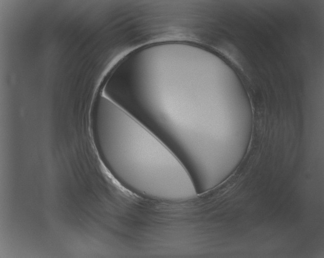 X0000053001468200507080942