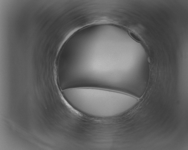 X0000053001476200507080942