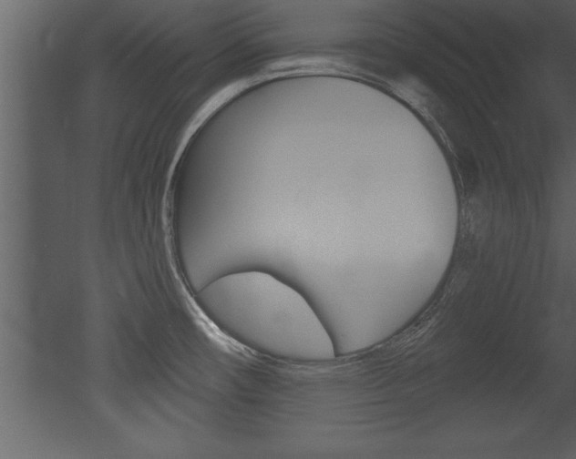 X0000053001482200507080942