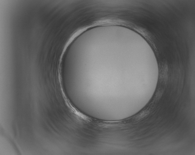 X0000053001486200507080942
