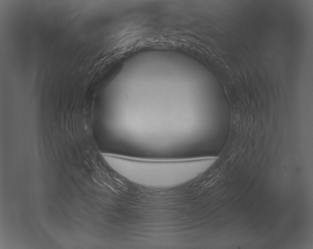 X0000053001490200507080941