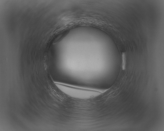 X0000053001491200507080941