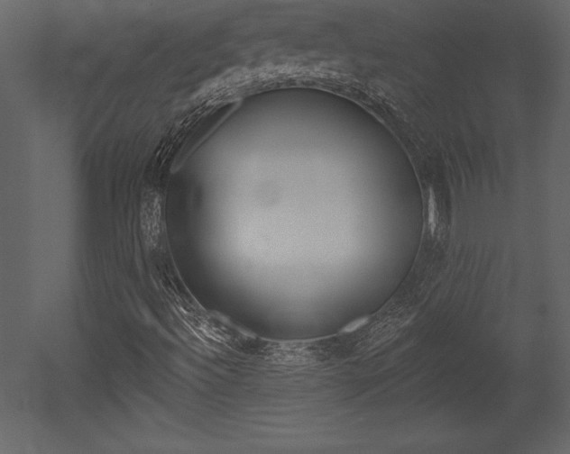 X0000053001492200507080941