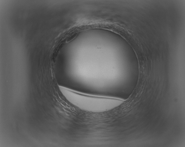 X0000053001493200507080941