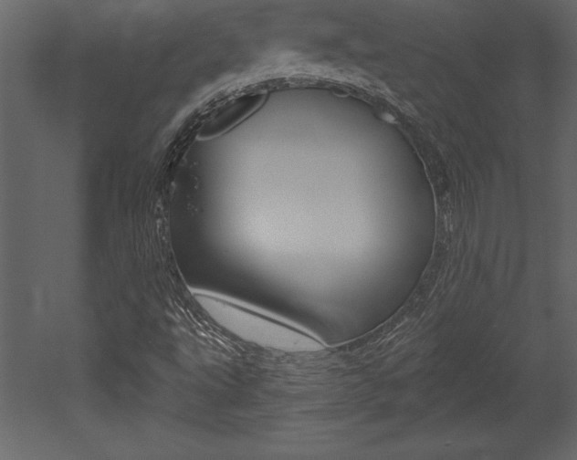 X0000053001495200507080941
