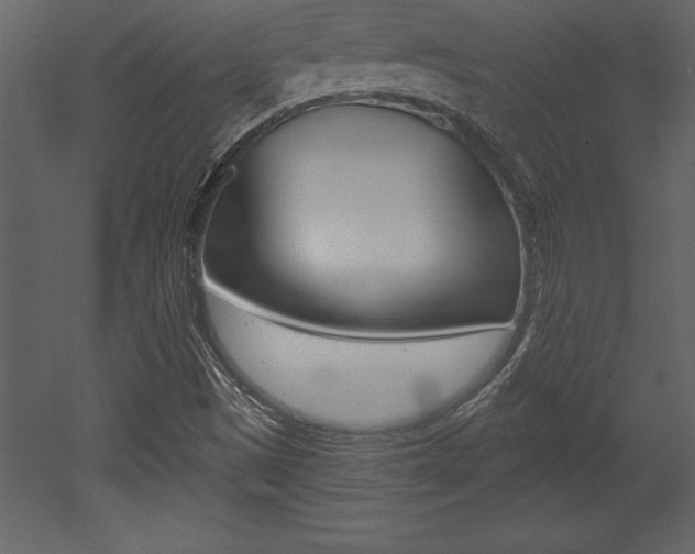 X0000053001497200507080941