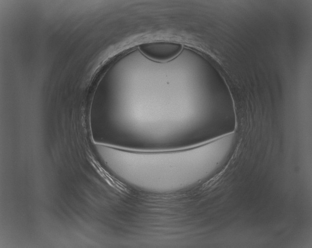 X0000053001499200507080941