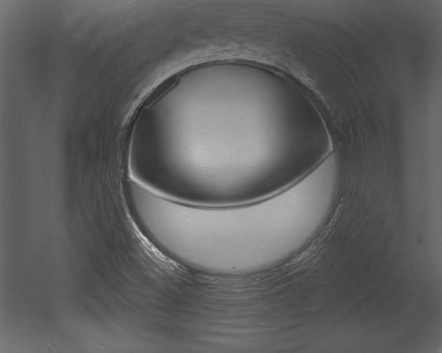X0000053001500200507080941