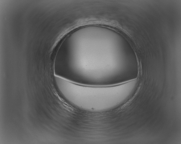 X0000053001501200507080941