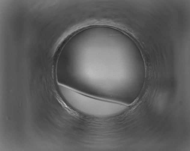 X0000053001503200507080941