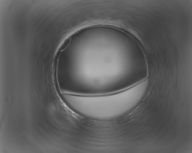 X0000053001508200507080941