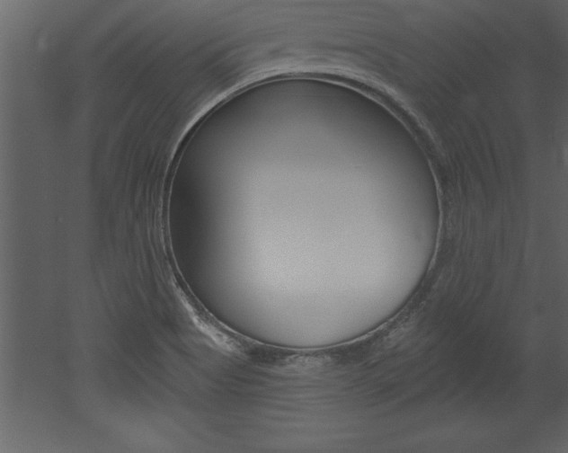 X0000053001513200507080942