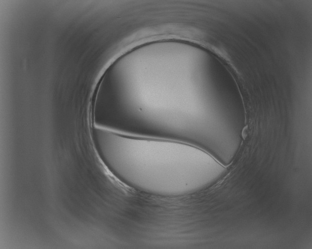X0000053001516200507080942