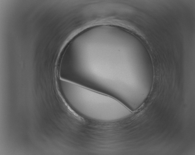X0000053001517200507080942