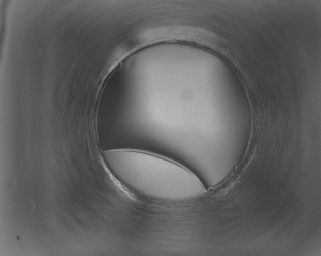 X0000053001521200507080942