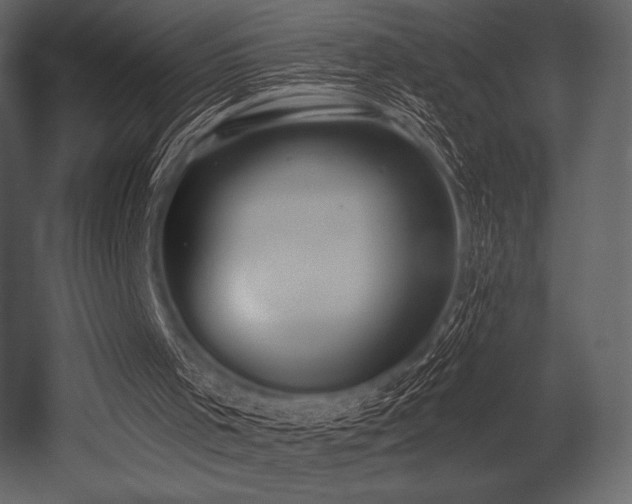 X0000053000001200507081245