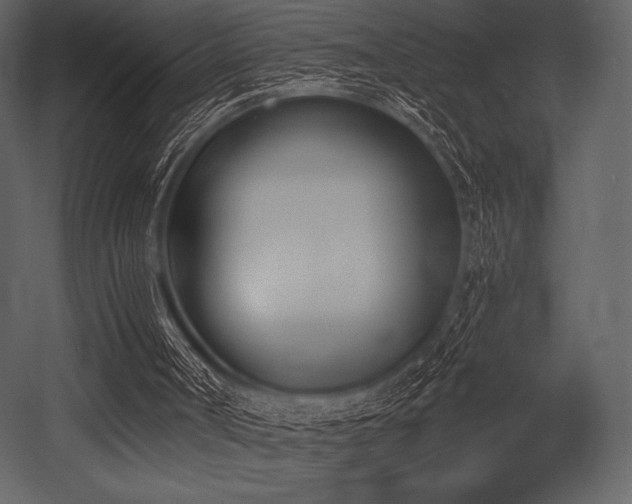 X0000053000002200507081245