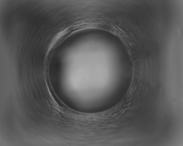 X0000053000003200507081245