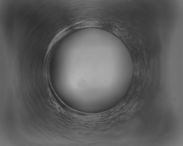 X0000053000004200507081245