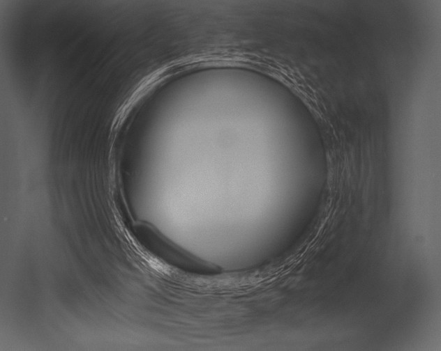 X0000053000005200507081245