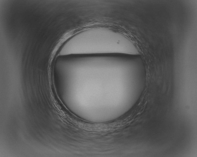 X0000053000006200507081245