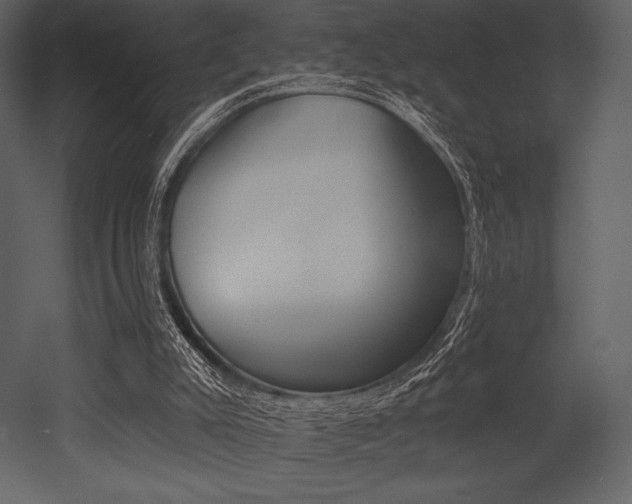 X0000053000007200507081245