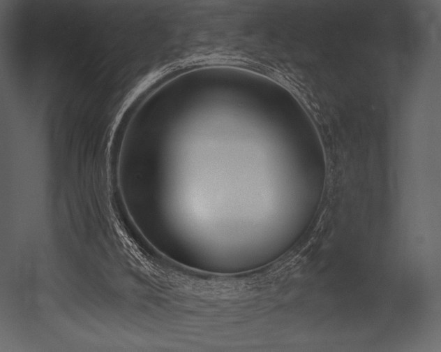 X0000053000008200507081245