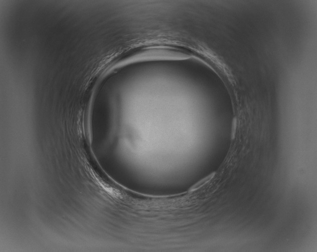 X0000053000009200507081245