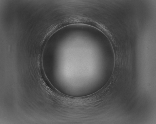 X0000053000010200507081245