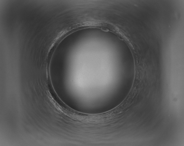 X0000053000011200507081245