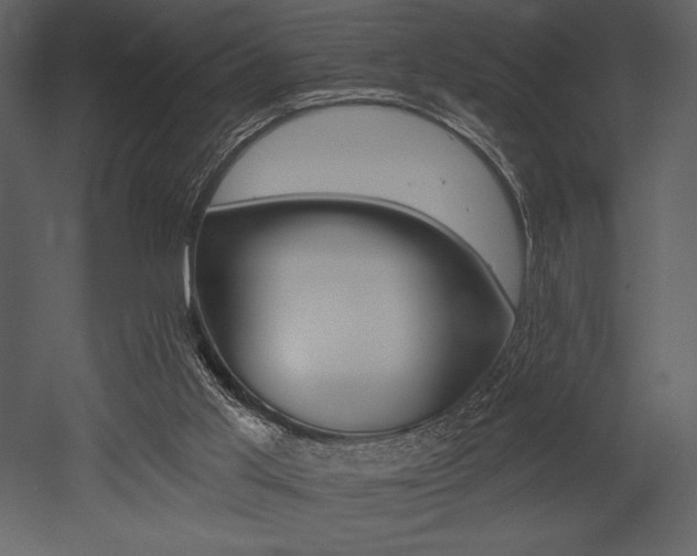 X0000053000013200507081245