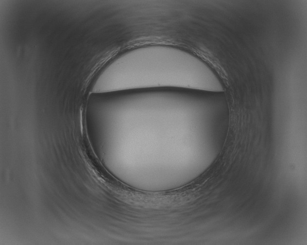 X0000053000014200507081245
