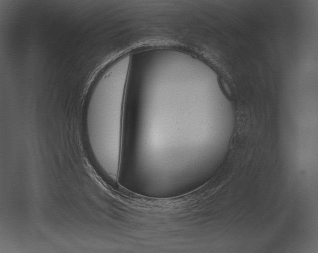 X0000053000015200507081245