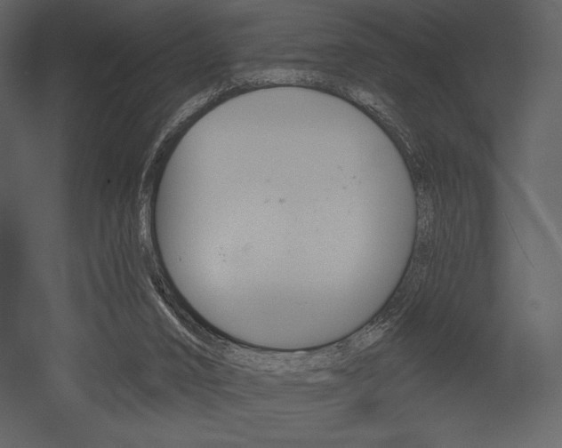 X0000053000016200507081245