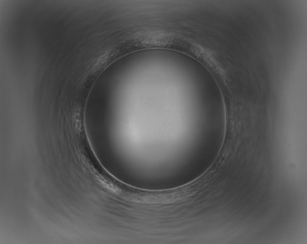 X0000053000017200507081245