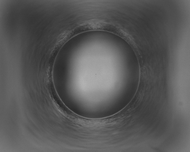 X0000053000018200507081245